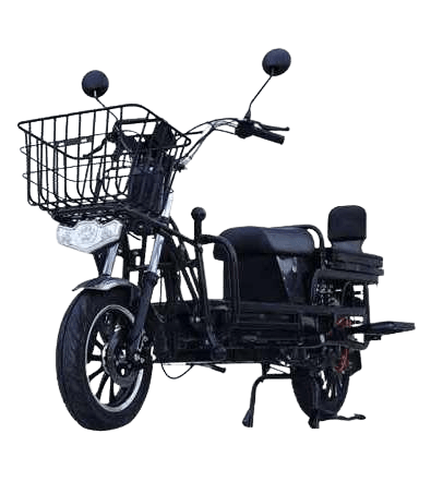A-Star HEAVY LOADER 2W Electric Scooter